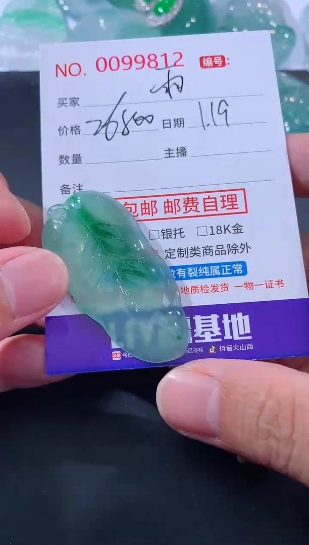 【闪购商品】翡翠颈饰未镶嵌雨