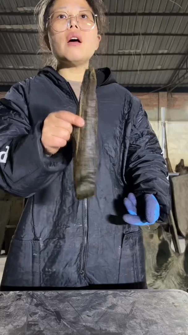 金丝楠2金丝楠小叶桢楠原材料