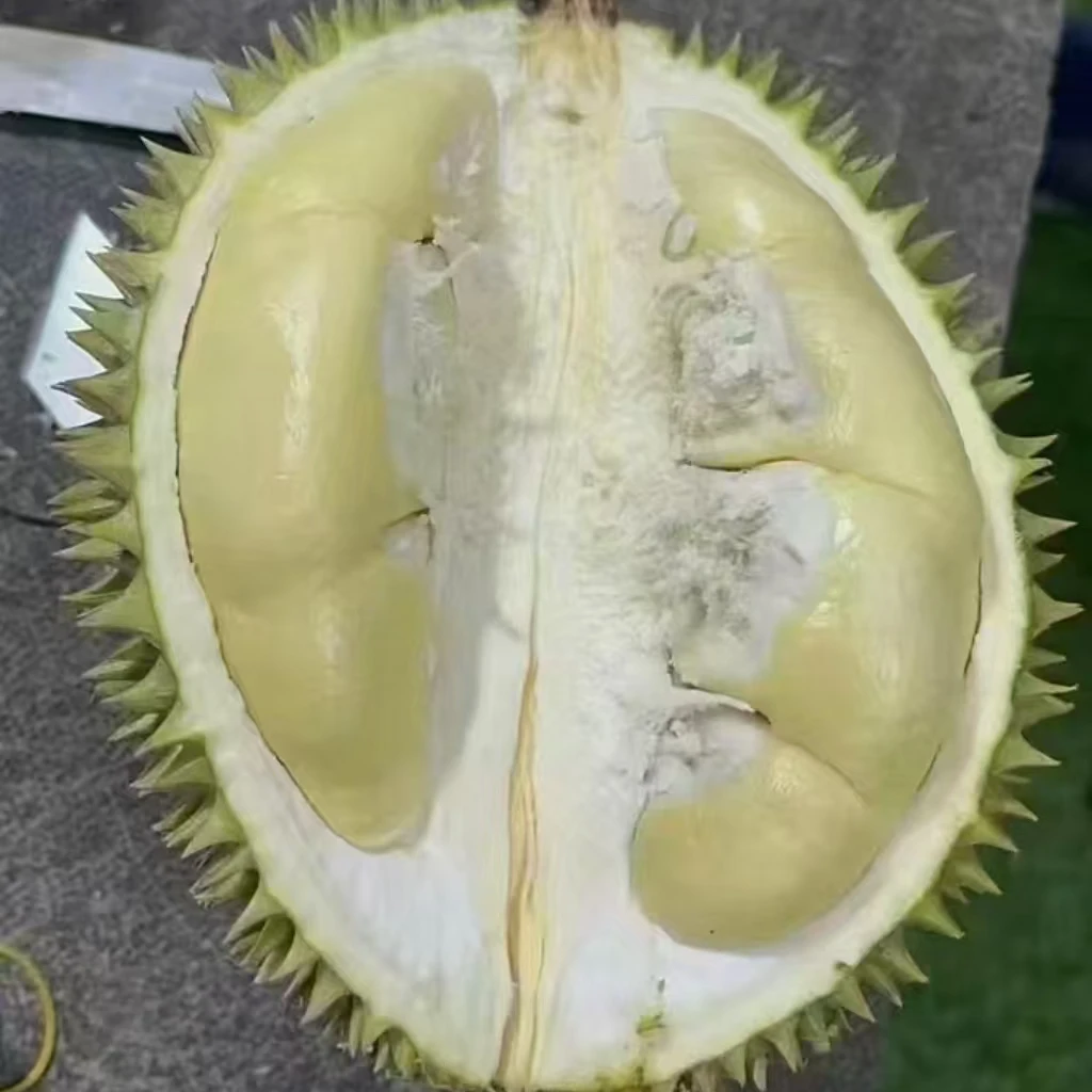 新鲜核大奶油猫山榴莲24.8一斤泰国进口整果规格1 - 9斤猫山王卟售后自行送回猫山王泰国