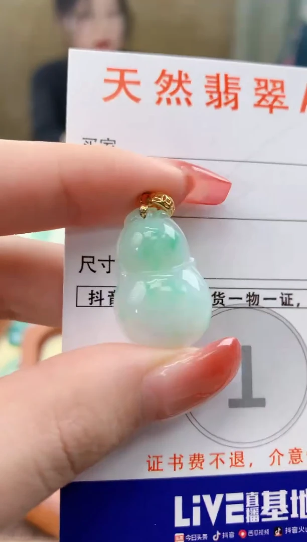 颈饰未镶嵌翡翠天然A货翡翠挂件