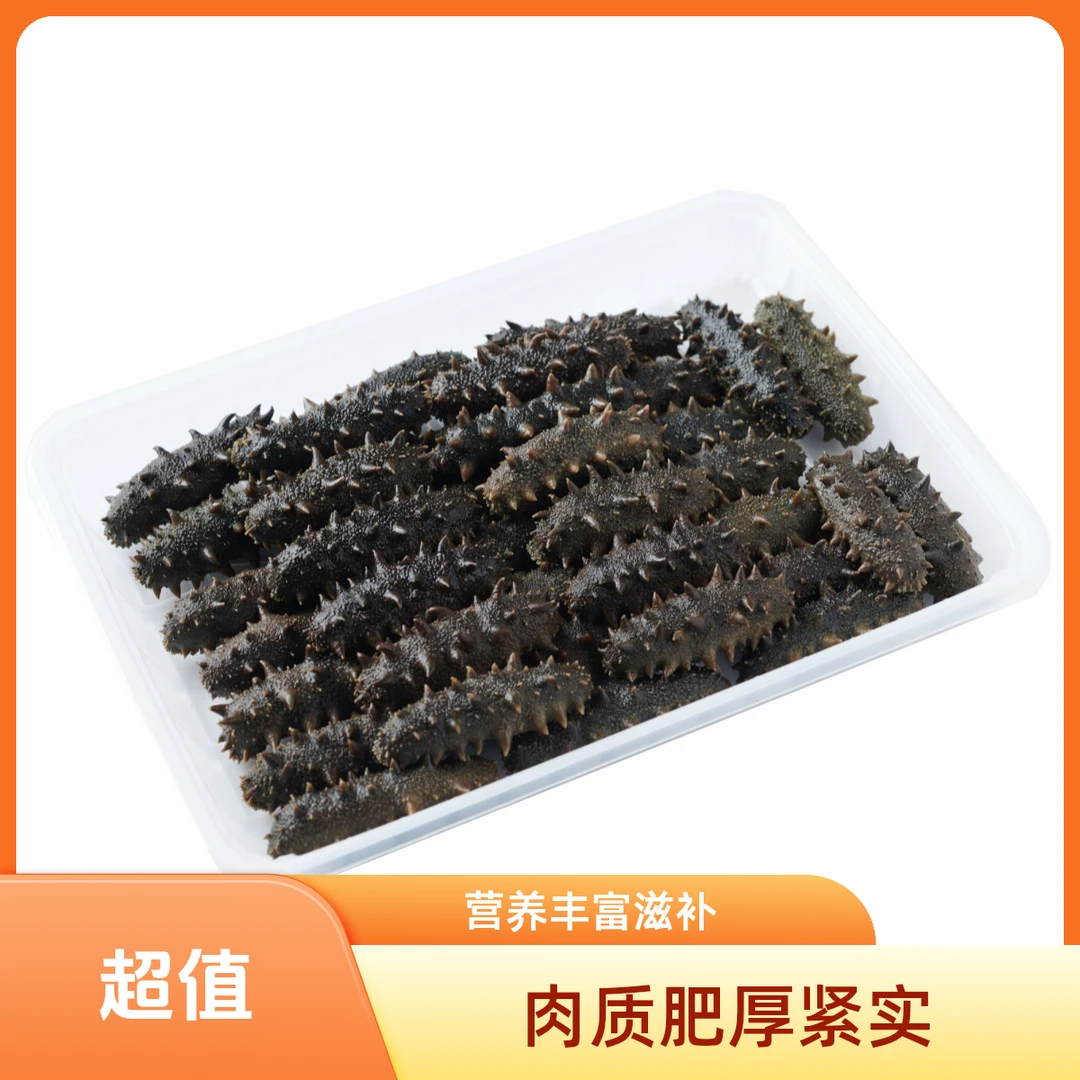 正宗大连海参 沙山半干海参 深海拉缸盐海参