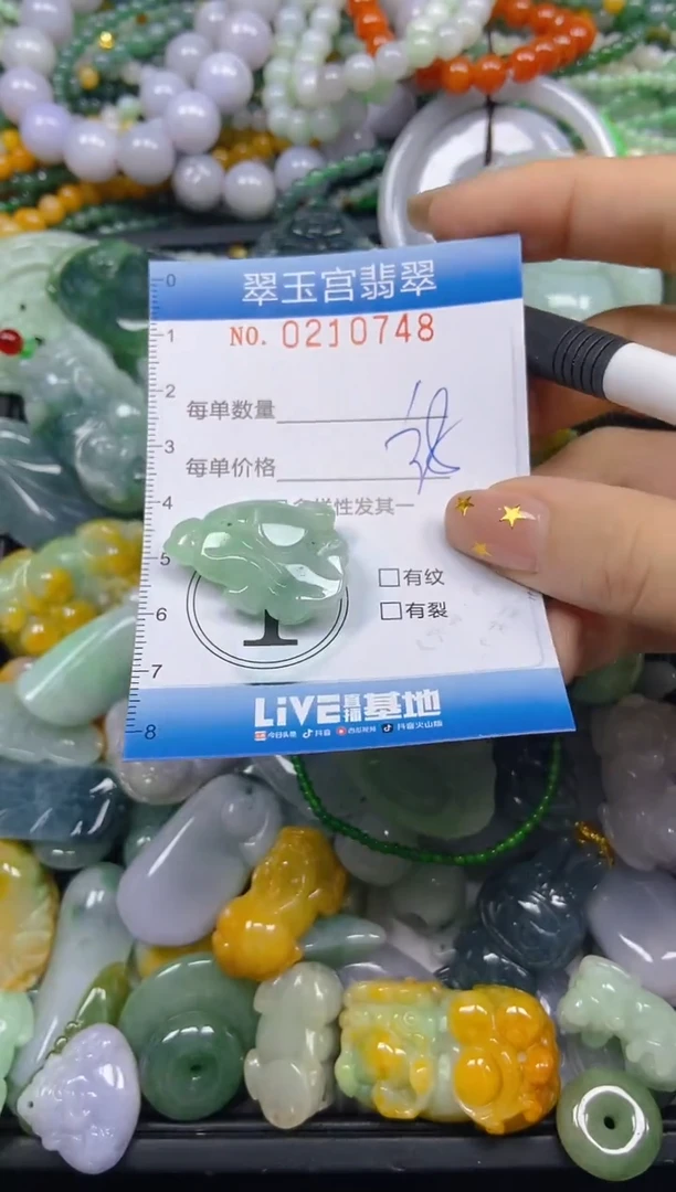 颈饰未镶嵌翡翠闪购C0210748