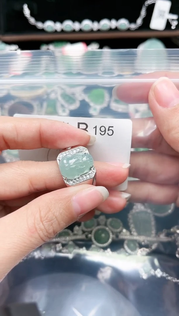 【闪购商品】翡翠颈饰未镶嵌赠皮绳195