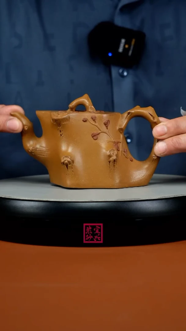 茶壶紫砂蒋静明老段泥梅花斜树桩220CC