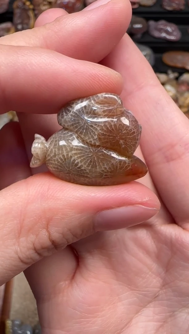 颈饰未镶嵌硅化珊瑚（珊瑚玉）591