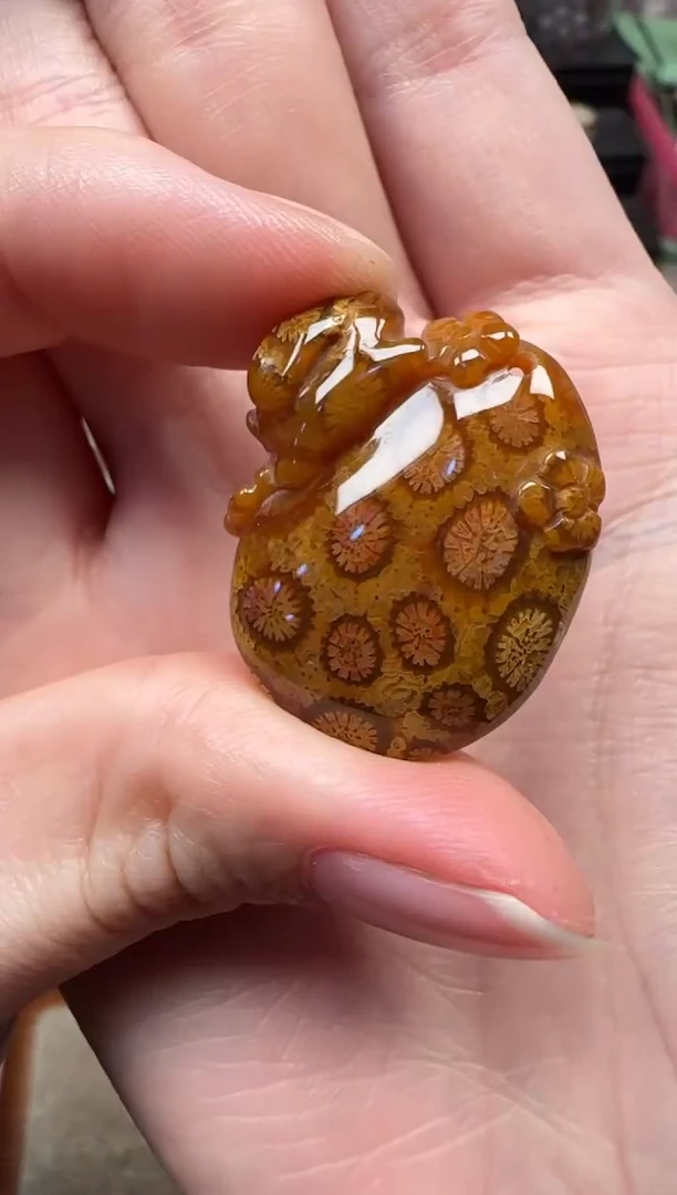 颈饰未镶嵌硅化珊瑚（珊瑚玉）894