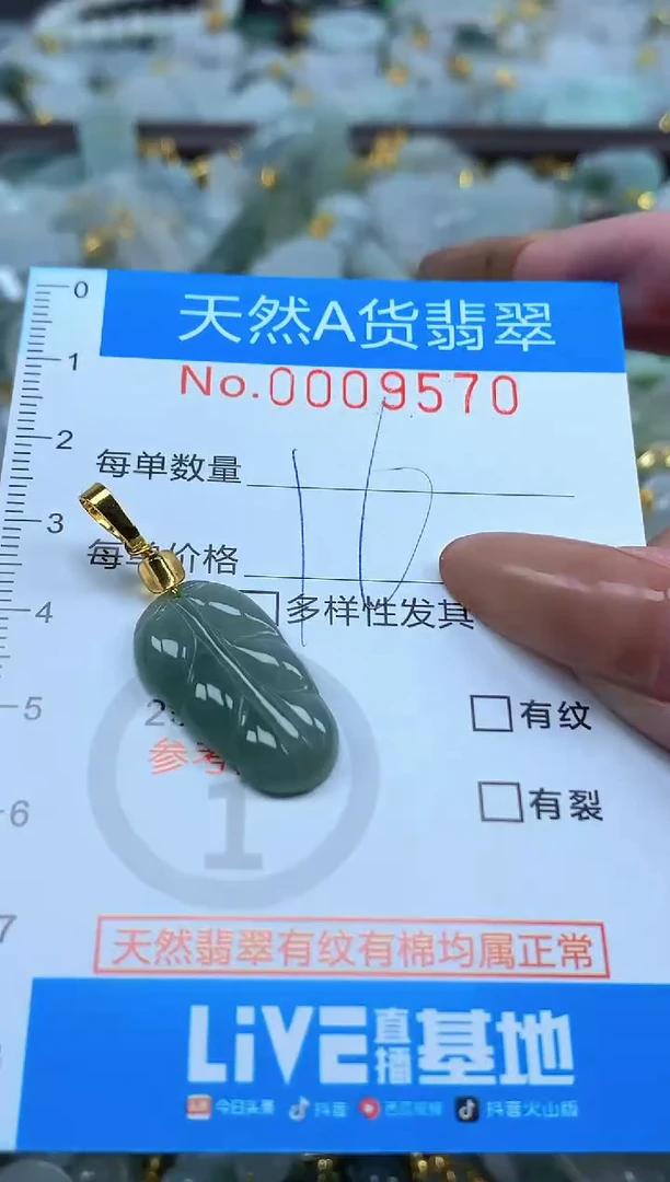 颈饰未镶嵌翡翠净货挂件-9570