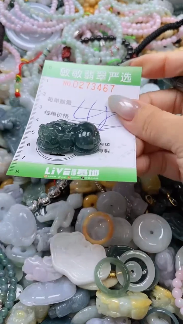 翡翠未镶嵌颈饰闪购0273467多样性发其一