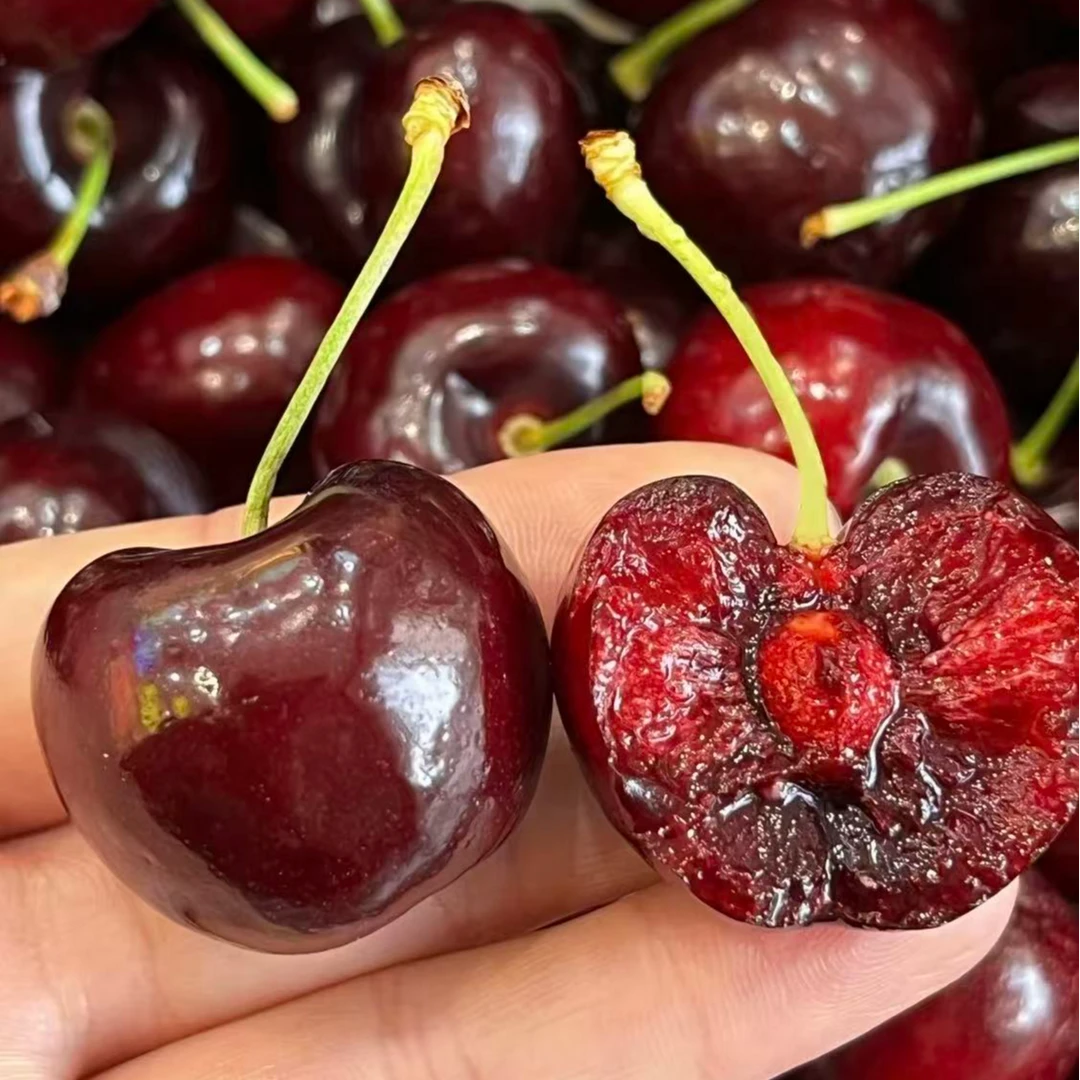 智利海运纯冰Bing品种2JD车厘子核小2.5KG桑提娜