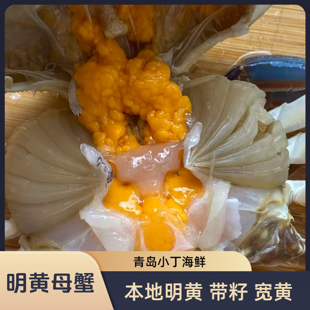 【青岛小丁】本地梭子蟹 明黄母蟹 3/6两/只2-4斤装【保鲜不保活】
