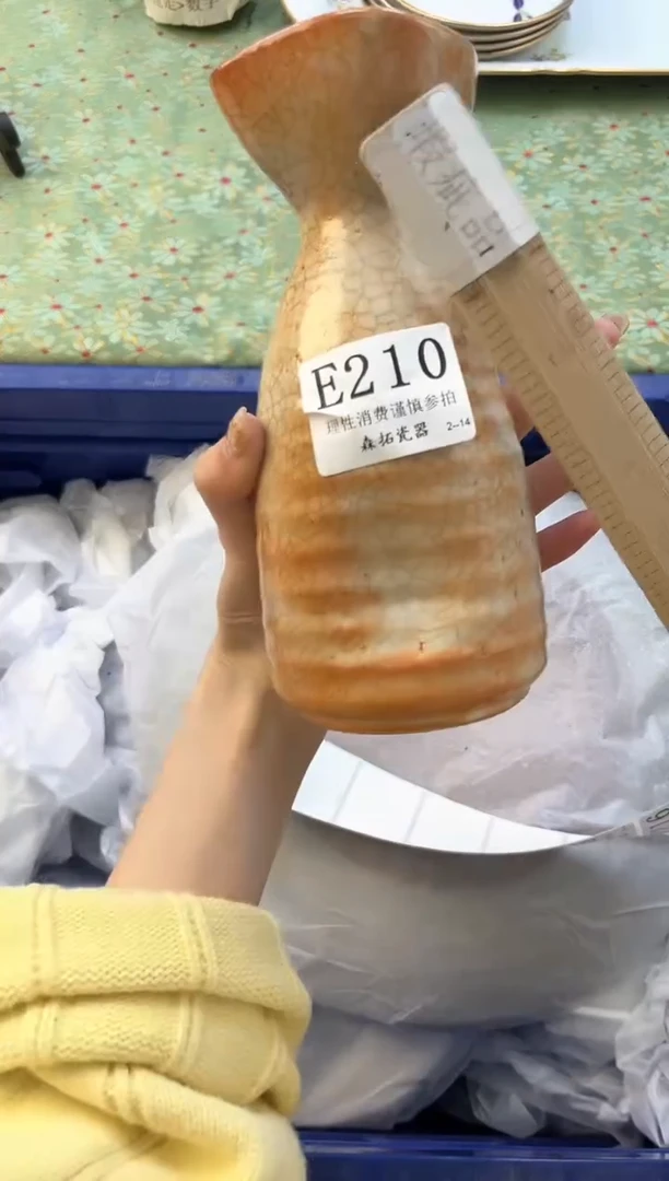 【闪购商品】瓷片----------E210