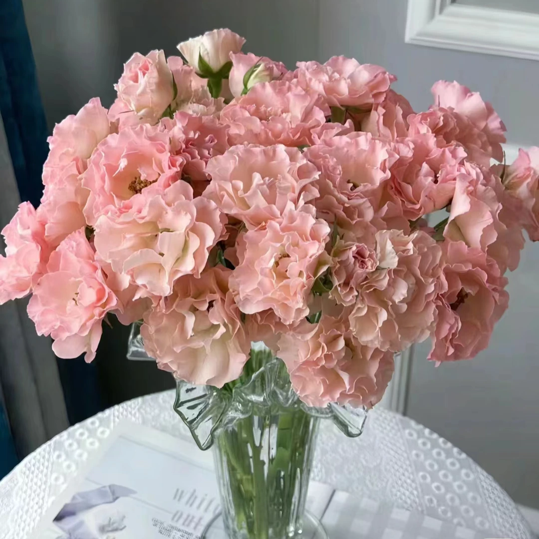 套餐39  人鱼公主玫瑰10支+粉色单瓣紫罗兰一把+绿灵草一小把