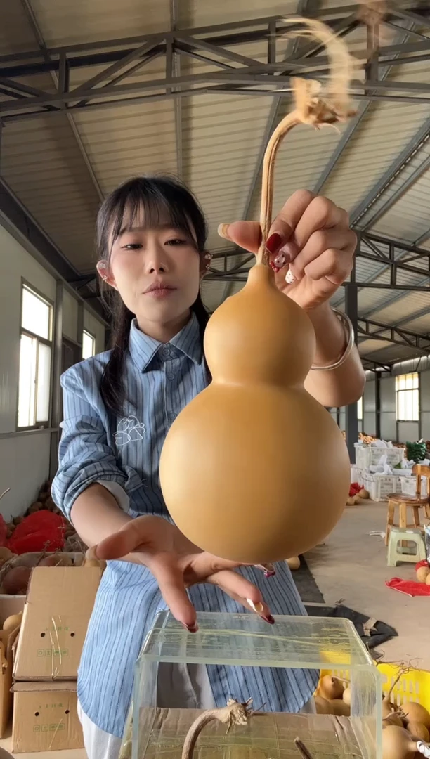 无花朵072天然葫芦摆件 一物一拍龙头不保售后