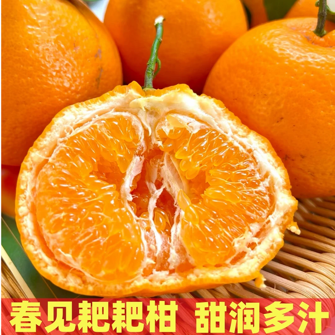 【热卖】D正宗四川春见耙耙柑新鲜应季水果彩箱发货甜润多汁