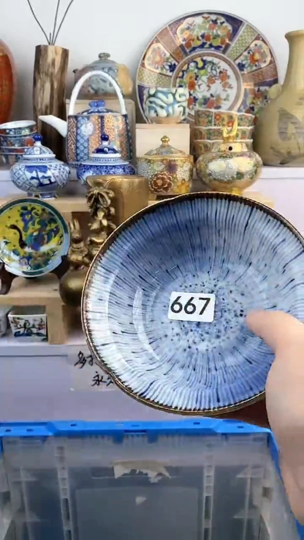 【闪购商品】瓷片667满38元包邮谨慎参拍默认微瑕