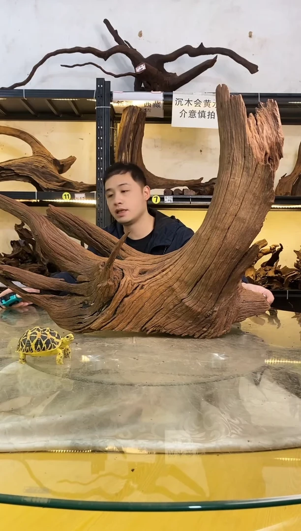 【闪购商品】柚木木艺鱼缸造景沉木941