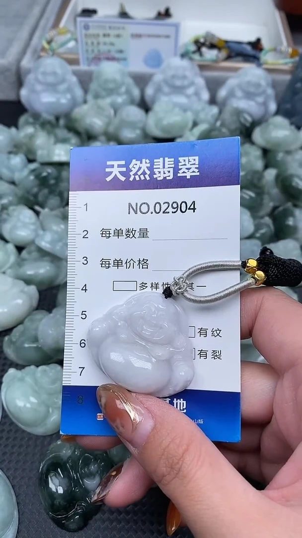 颈饰未镶嵌翡翠纯天然A货翡翠2904