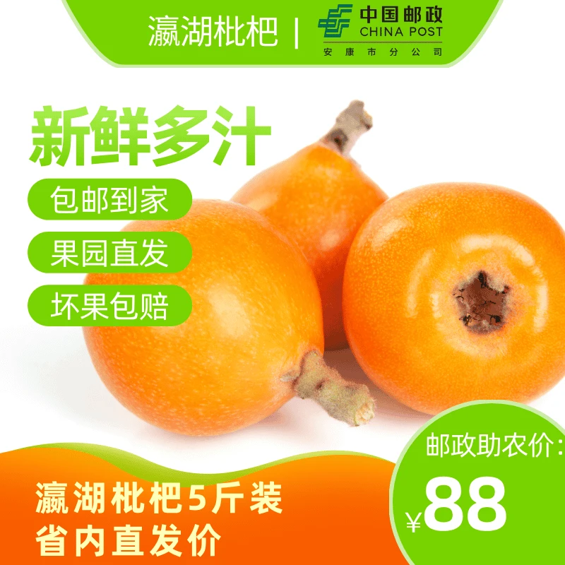 【邮政助农链接】5斤装瀛湖新鲜枇杷皮薄肉厚农家果园现摘现发