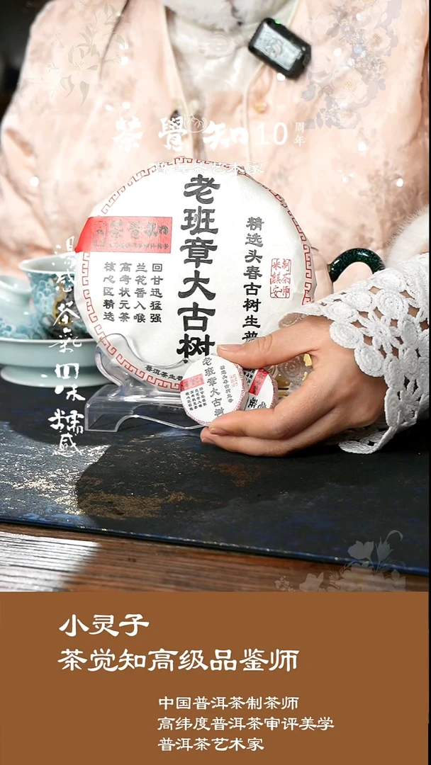 2025老班章大古树头春生普（8克*2泡）