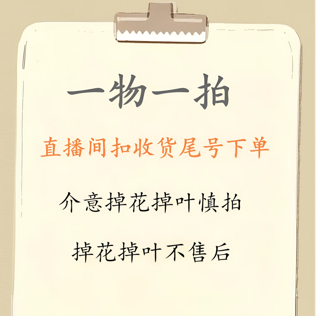 【一物一拍298专属链接】三角梅直播间