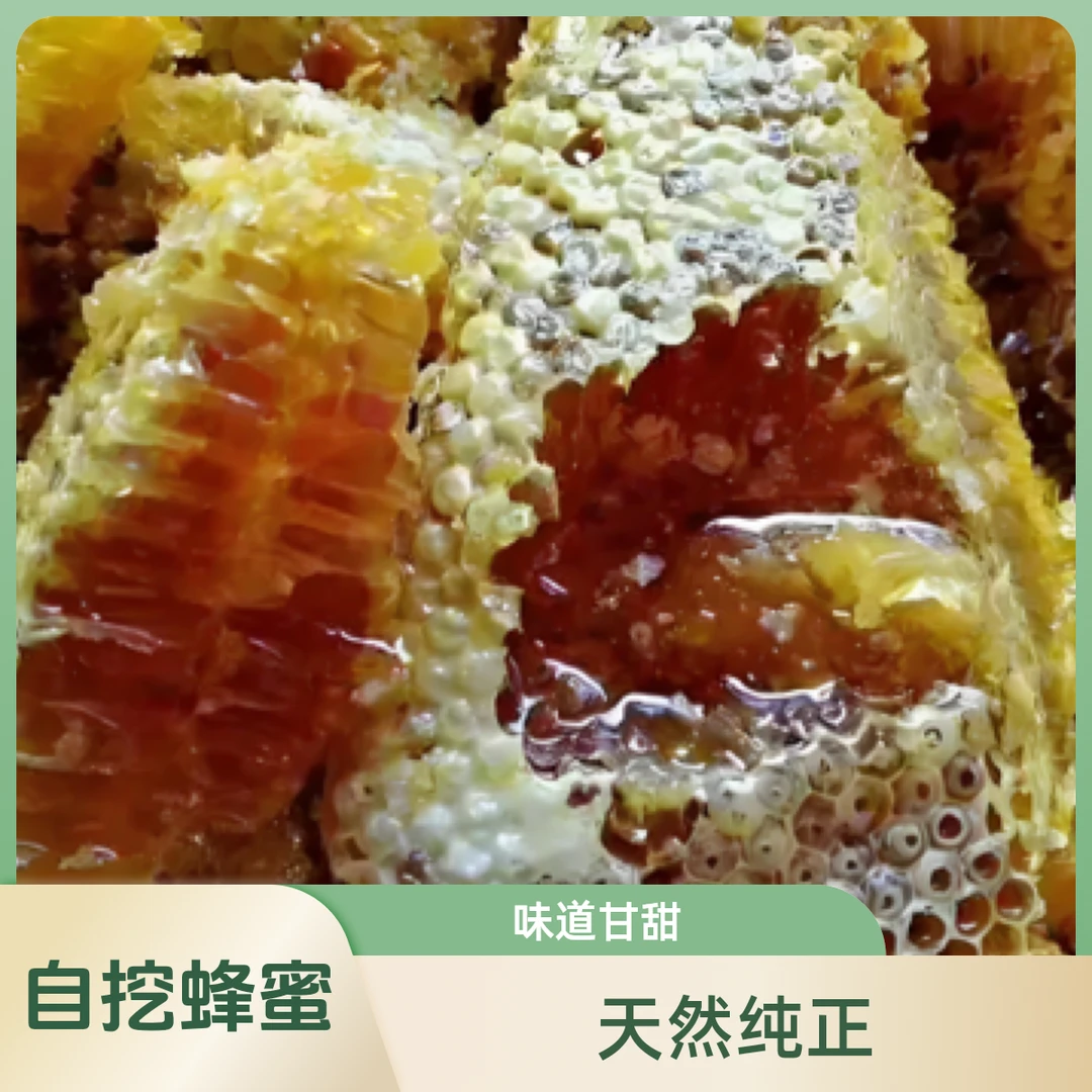 自挖深山老巢蜜土蜂蜜