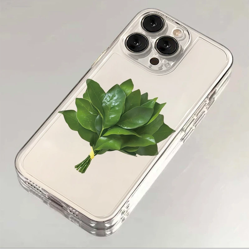 欧克里里柚子叶透明适用iPhone17手机壳苹果16小米15OPPO华为VIVO