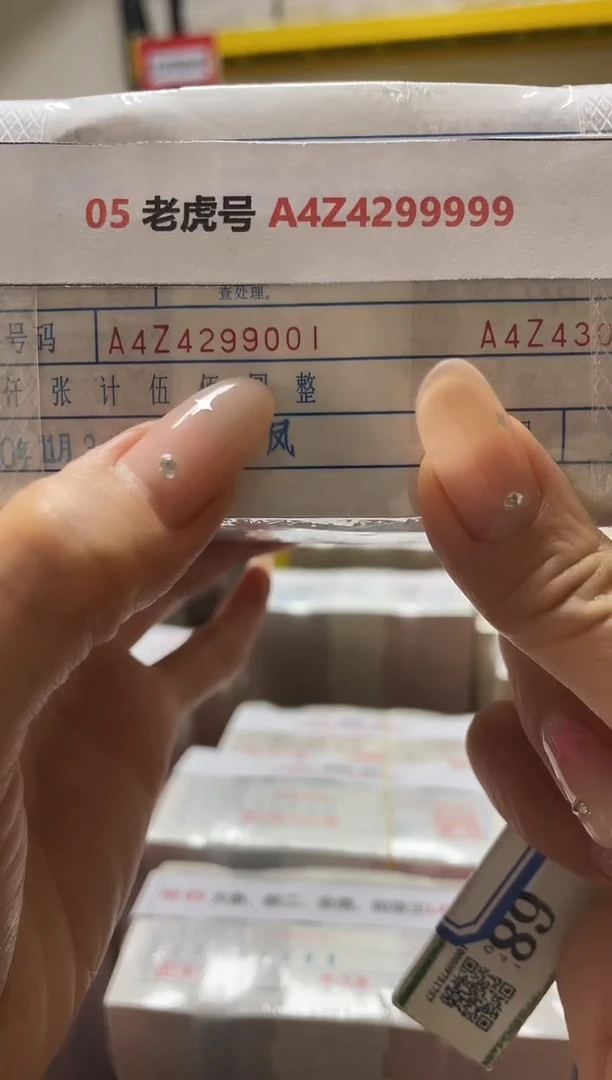 M 05 老虎号 A4Z4299999