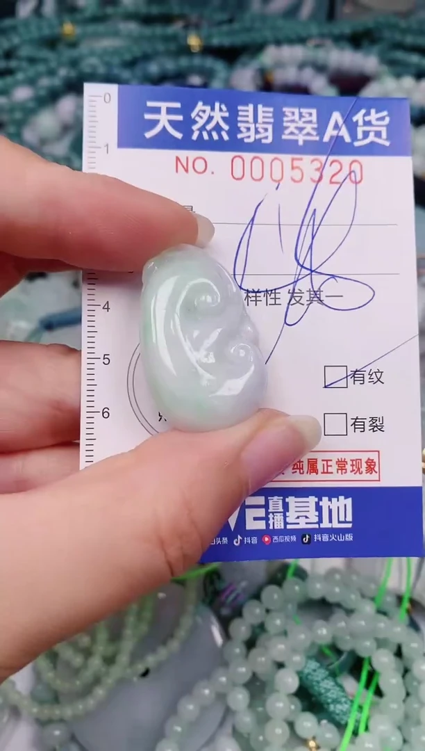 颈饰未镶嵌翡翠00005320