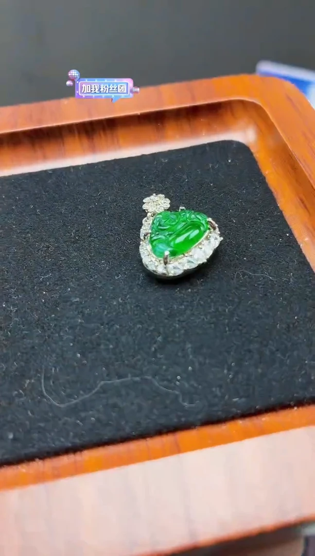 颈饰未镶嵌翡翠DLZ25121713