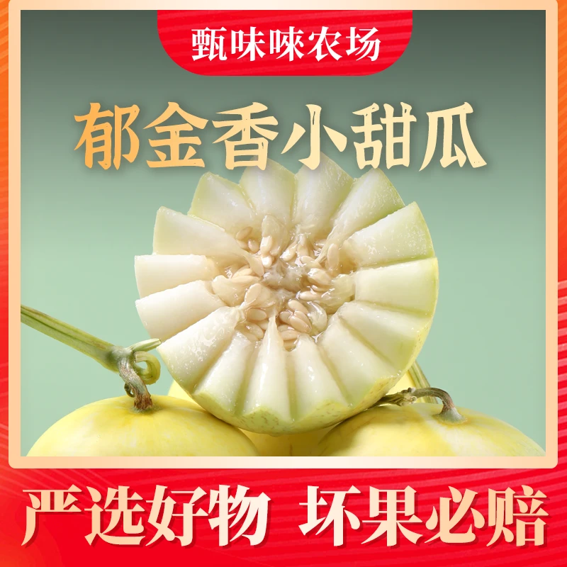 【坏果包赔】云南郁金香小甜瓜3斤/5斤单果300-500g3-6个