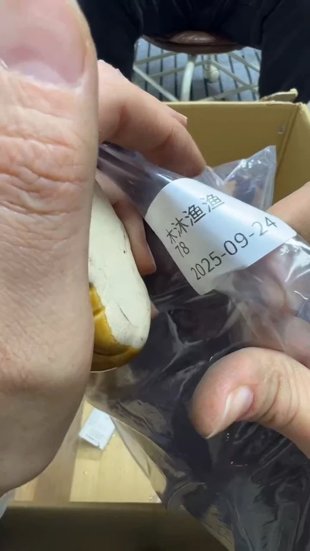 木****?瓷片瓷片瓷片瓷片瓷片瓷片