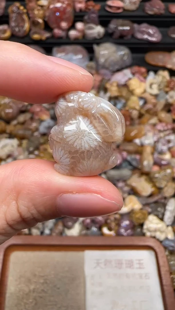 颈饰未镶嵌硅化珊瑚（珊瑚玉）239