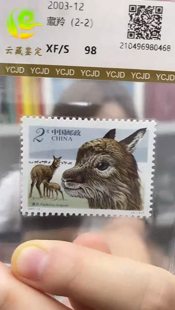 2003-12藏羚羊超级福利超级