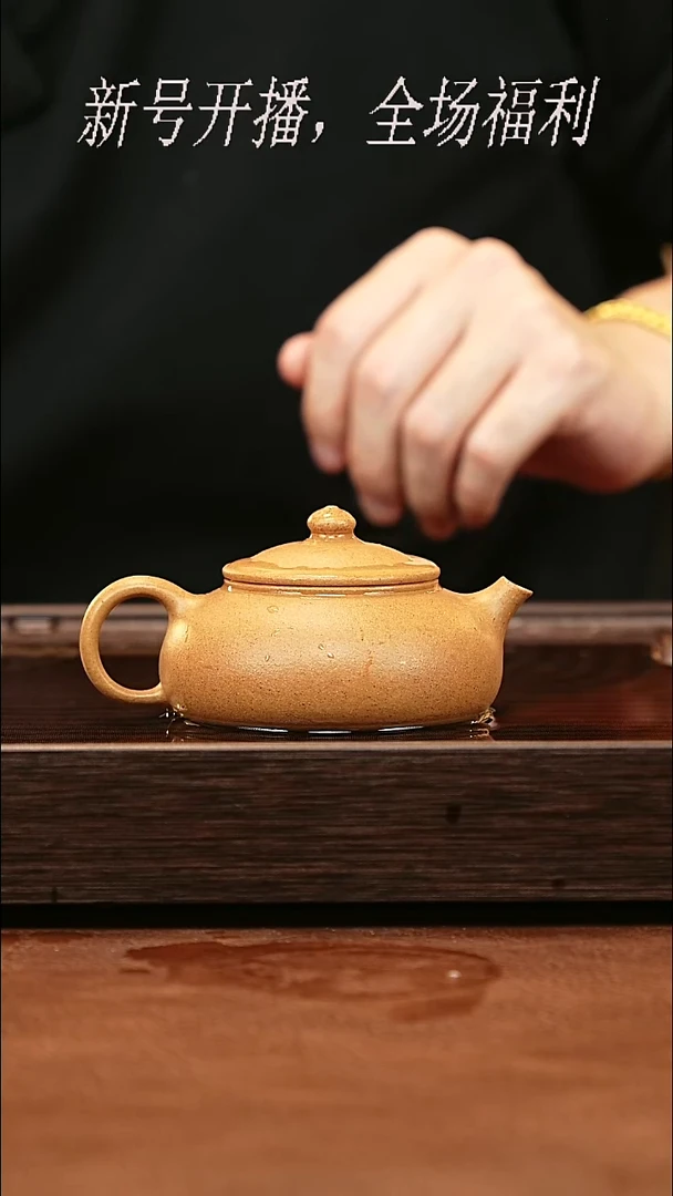 茶壶紫砂4y13老档口黄金段寒江