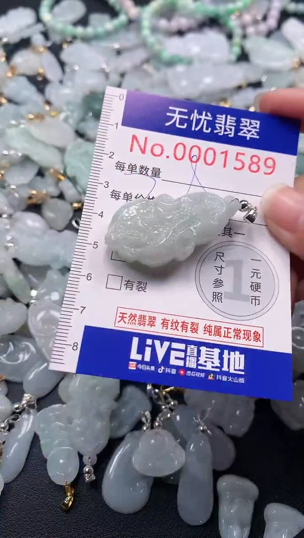 颈饰未镶嵌翡翠1589