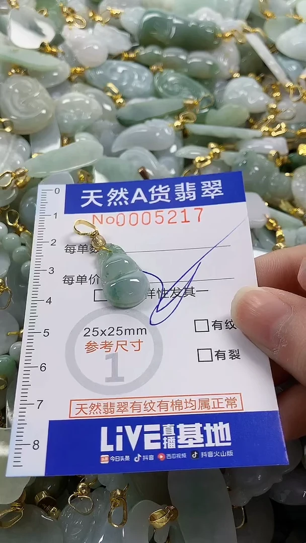 颈饰未镶嵌翡翠纯天然货翡翠