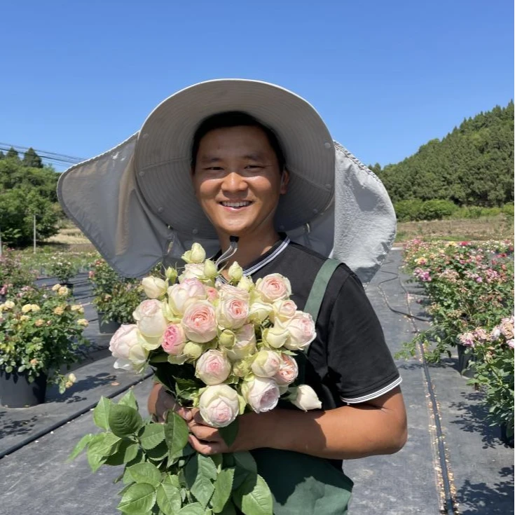 黑哥的植物直播间混苗多种品种灌木藤本月季（临时链接）