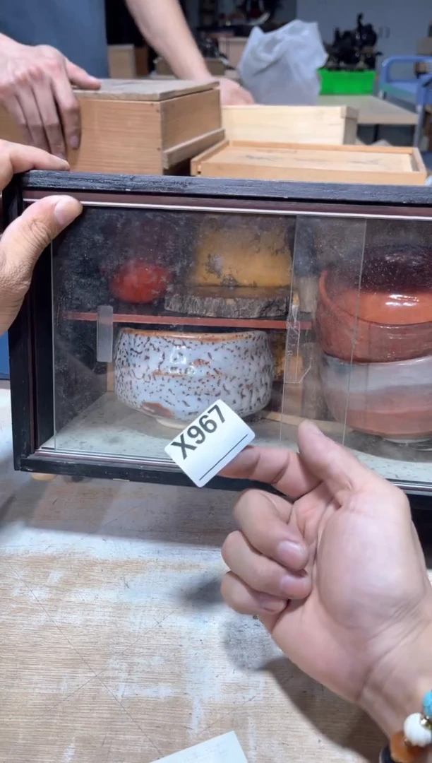 几****程直播定闪专用链接