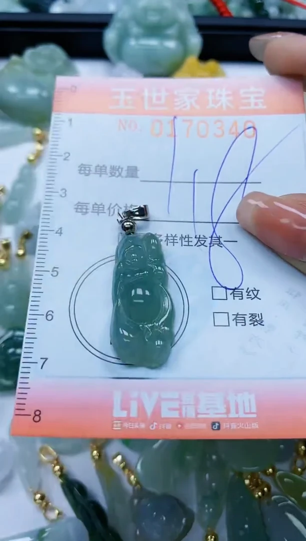 【闪购商品】翡翠颈饰未镶嵌闪购0170340