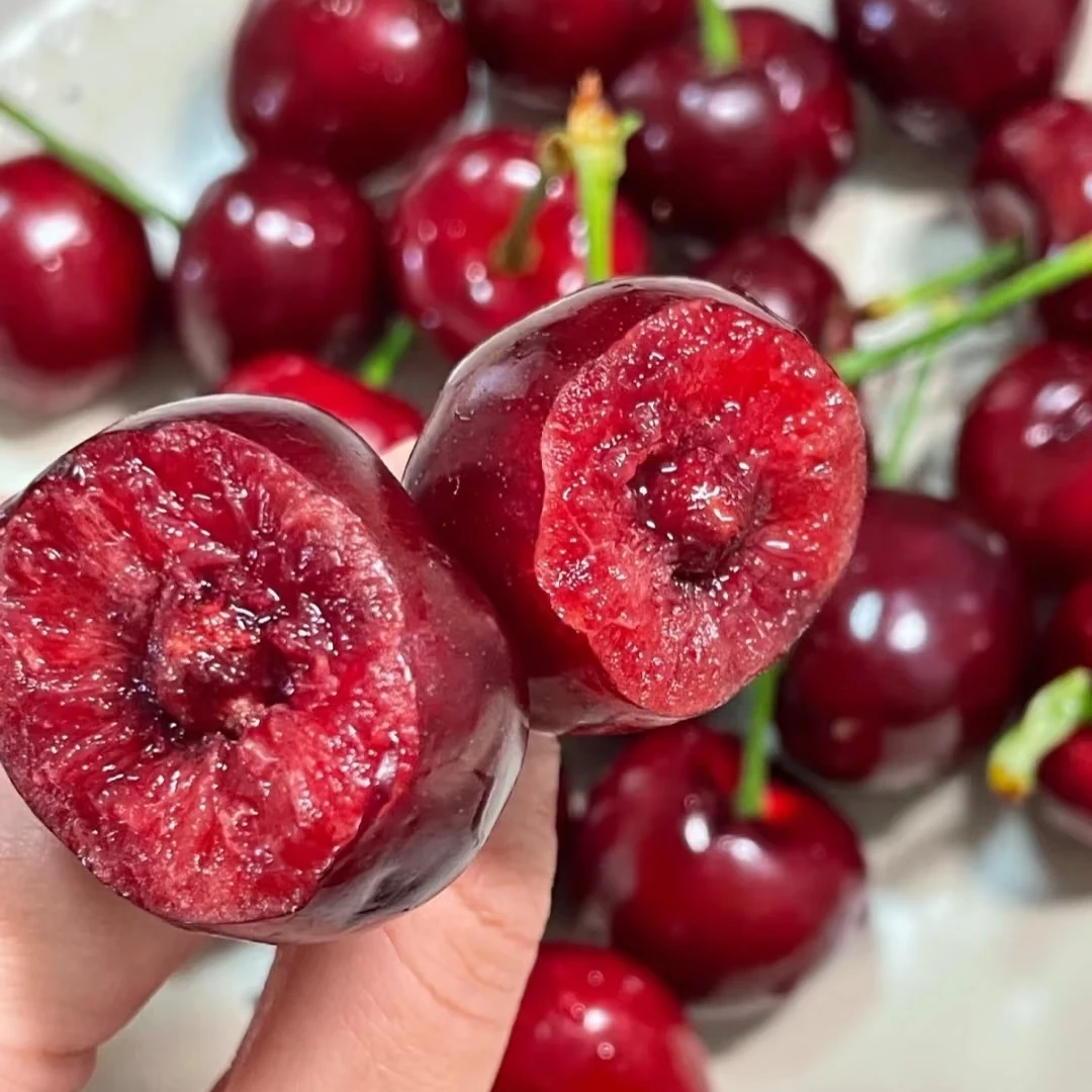 意大利早红【爽甜多汁】山东烟台大樱桃3/5斤现摘新鲜水果顺丰空运
