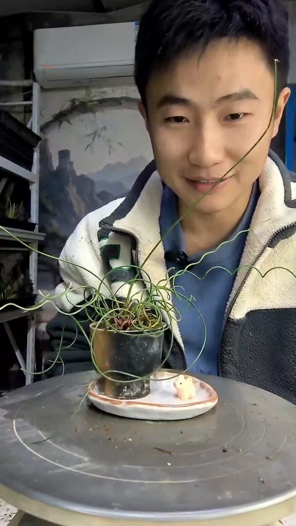 ?中青园艺一物一拍434