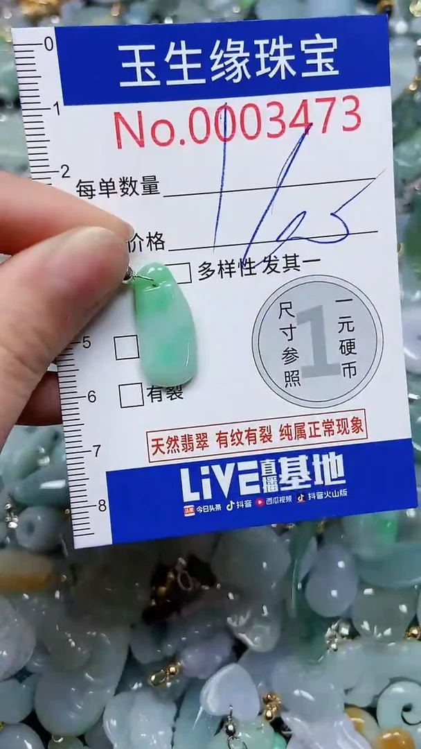 【闪购商品】翡翠颈饰未镶嵌闪购00003473