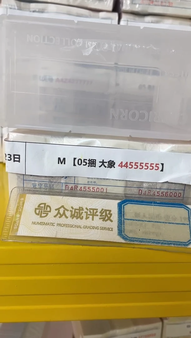 M 【05捆 大象 44555555】