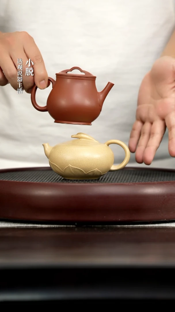 DG5吴畏十大雅事莳花红皮龙2+DG2畏壶万宁泉太白本绿220