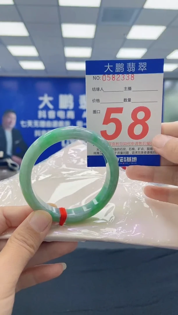 未镶嵌手镯翡翠AAAAAAAAAA