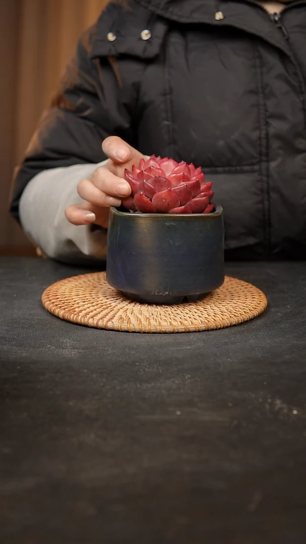 【闪购商品】瓷片泥泥手工花盆口8