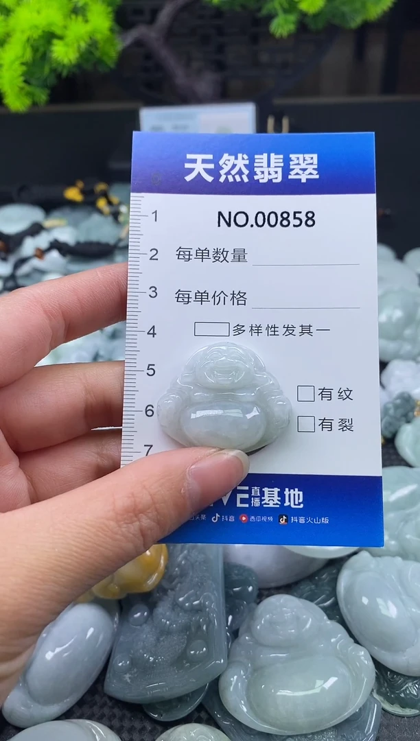 颈饰未镶嵌翡翠天然缅甸翡翠858
