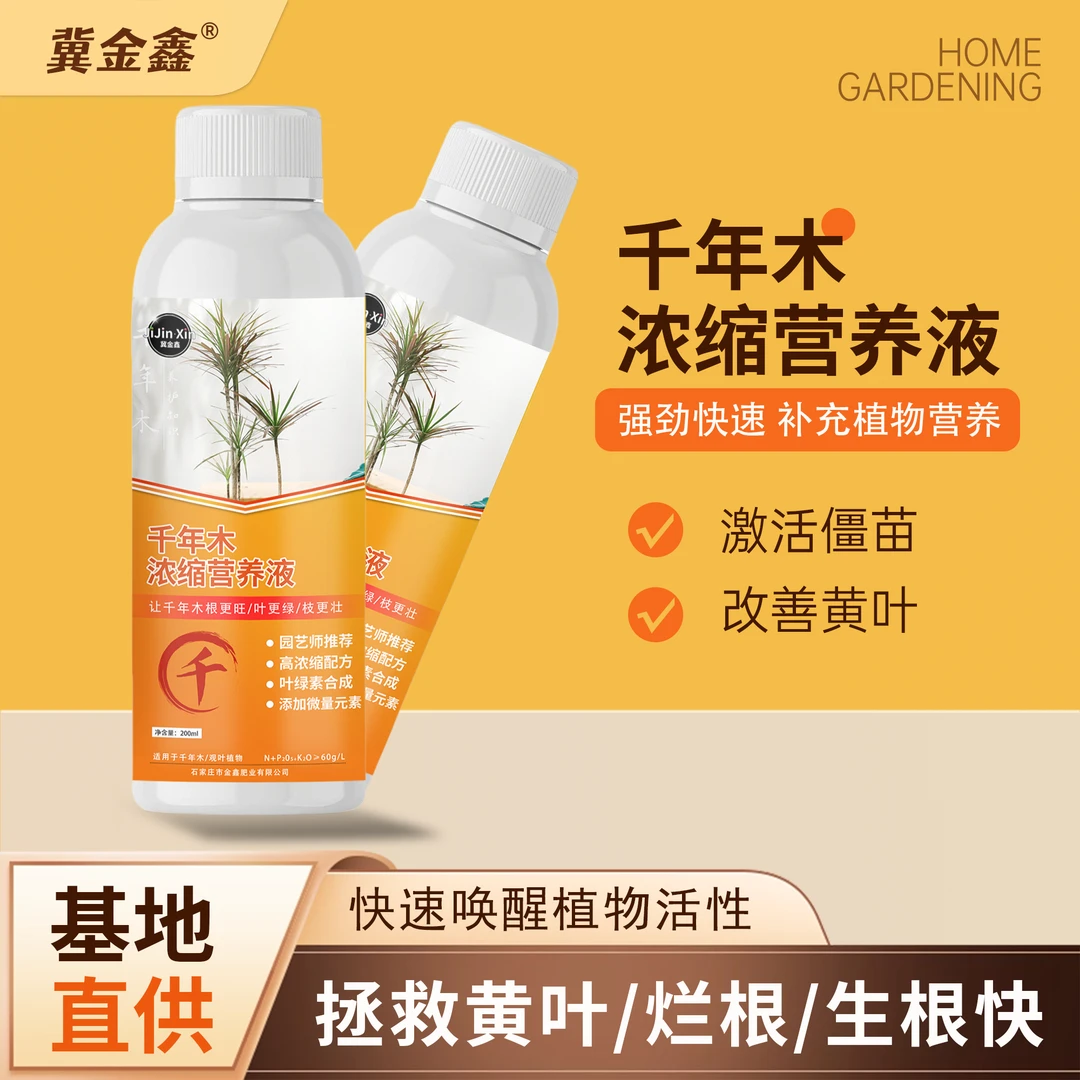 冀金鑫千年木营养液强根绿叶预防黄叶掉叶家养盆栽绿植通用营养液