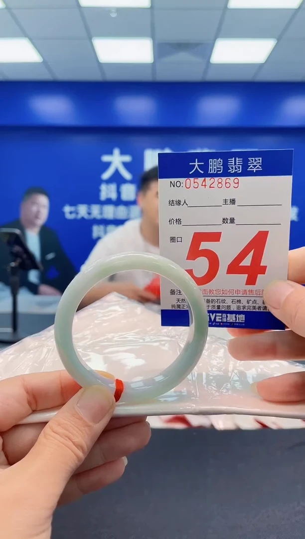 未镶嵌手镯翡翠AAAAAAAAA