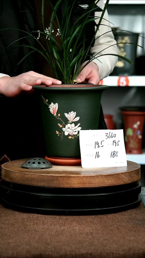 紫砂花盆花卉园艺3660+Z